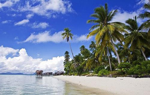 2026年去马来西亚留学，学校你得这样选(图1)