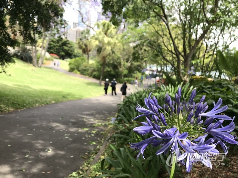 种将、马将、掩昆将下八将和上八将(图1)